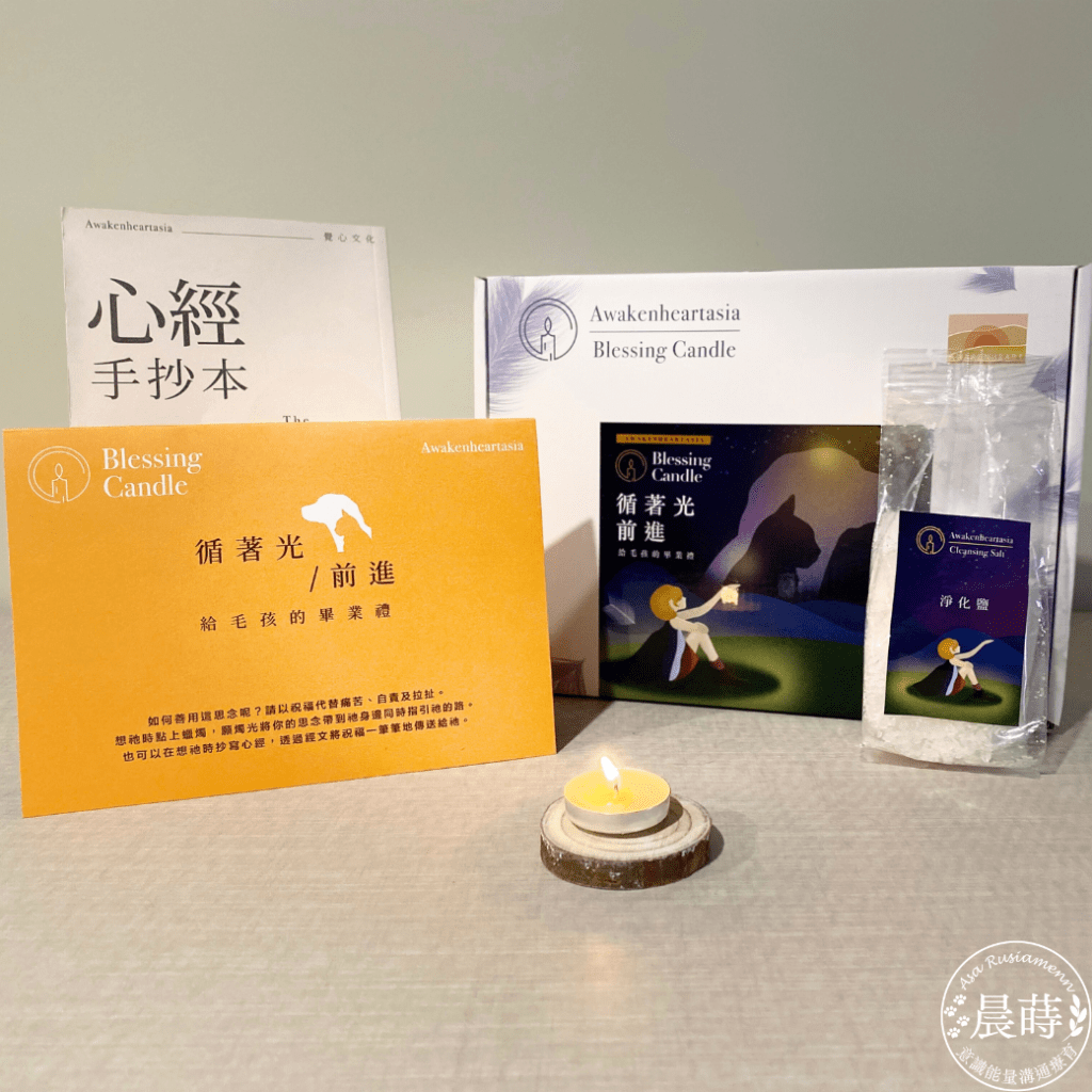 新服務❤️毛天使的祝福