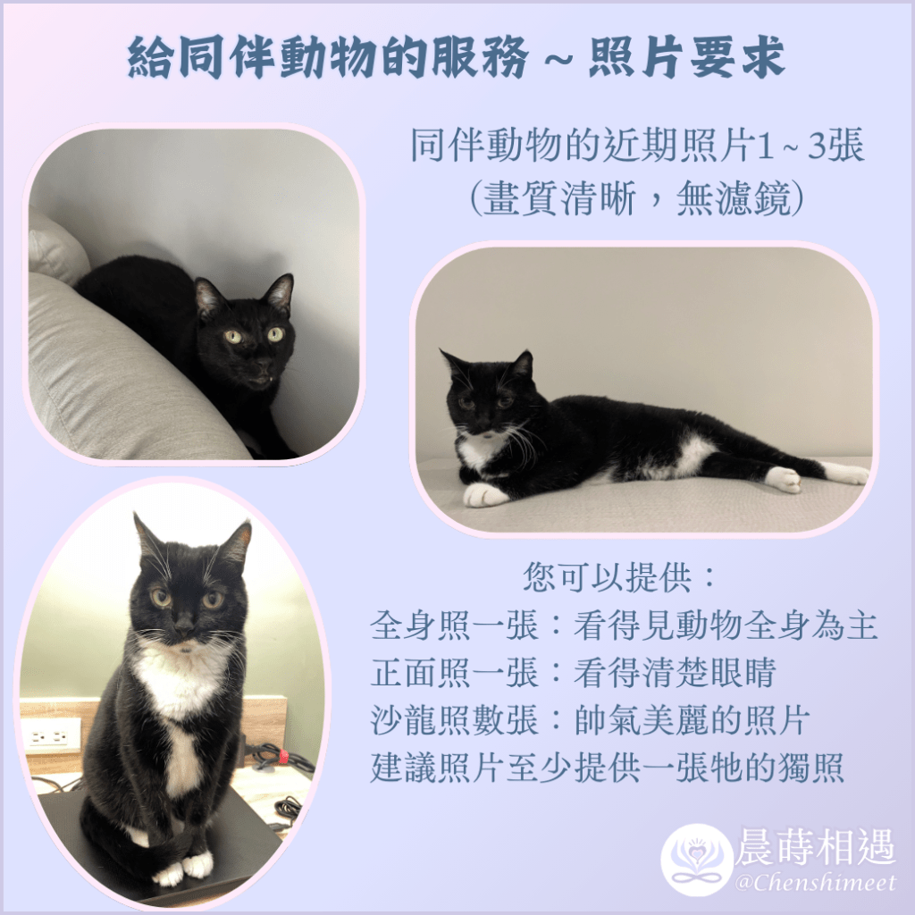 預約動物服務－照片範本