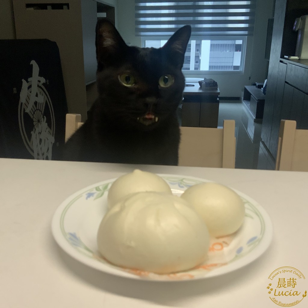 【覺察體悟】積極地存有們